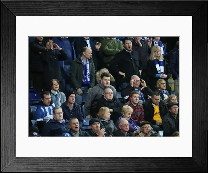 Framed Print : Premier League Showdown: Leicester City vs. Brighton & Hove Albion at The King Power Stadium (26th February 2019) Framed Print : Premier League Showdown: Leicester City vs. Brighton & Hove Albion at The King Power Stadium (26th February 2019)