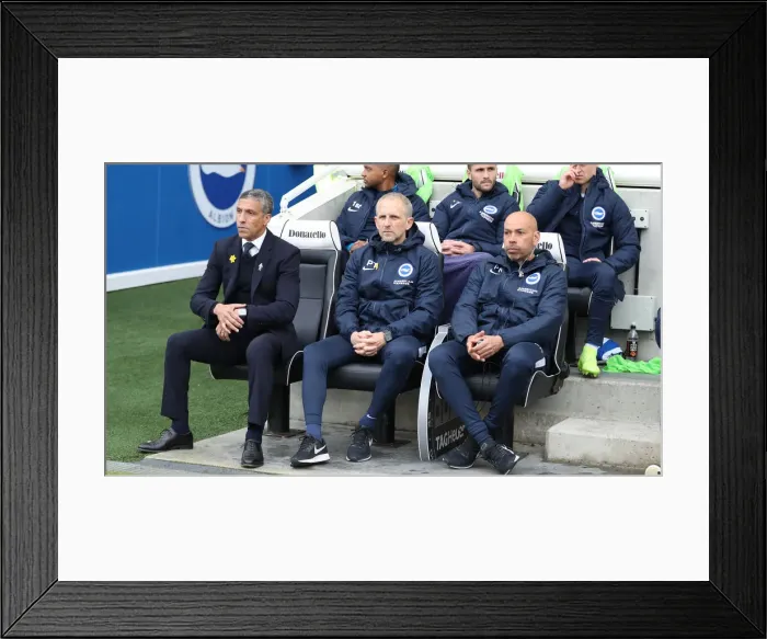 Framed Print : Brighton and Hove Albion vs. Huddersfield Town: Premier League Showdown at American Express Community Stadium (02MAR19) Framed Print : Brighton and Hove Albion vs. Huddersfield Town: Premier League Showdown at American Express Community Stadium (02MAR19)