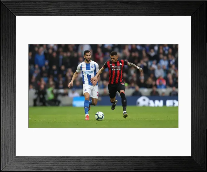 Framed Print : Brighton and Hove Albion vs. Huddersfield Town: Premier League Showdown at American Express Community Stadium (02MAR19) Framed Print : Brighton and Hove Albion vs. Huddersfield Town: Premier League Showdown at American Express Community Stadium (02MAR19)