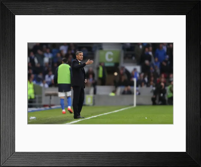 Framed Print : Premier League Showdown: Brighton & Hove Albion vs. Huddersfield Town (02MAR19) - American Express Community Stadium Framed Print : Premier League Showdown: Brighton & Hove Albion vs. Huddersfield Town (02MAR19) - American Express Community Stadium