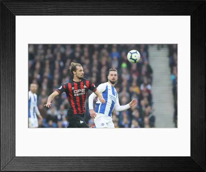 Framed Print : Brighton and Hove Albion vs. Huddersfield Town: Premier League Showdown at American Express Community Stadium (02MAR19) Framed Print : Brighton and Hove Albion vs. Huddersfield Town: Premier League Showdown at American Express Community Stadium (02MAR19)
