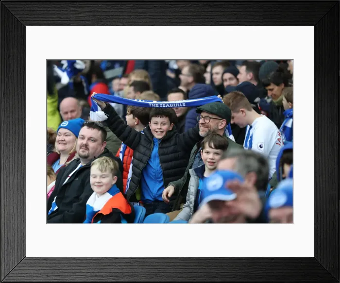 Framed Print : Brighton and Hove Albion vs. Huddersfield Town: Premier League Showdown at American Express Community Stadium (02MAR19) Framed Print : Brighton and Hove Albion vs. Huddersfield Town: Premier League Showdown at American Express Community Stadium (02MAR19)