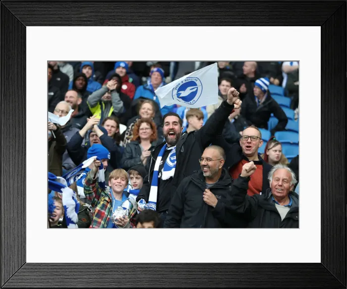 Framed Print : Brighton and Hove Albion vs. Huddersfield Town: Premier League Showdown at American Express Community Stadium (02MAR19) Framed Print : Brighton and Hove Albion vs. Huddersfield Town: Premier League Showdown at American Express Community Stadium (02MAR19)