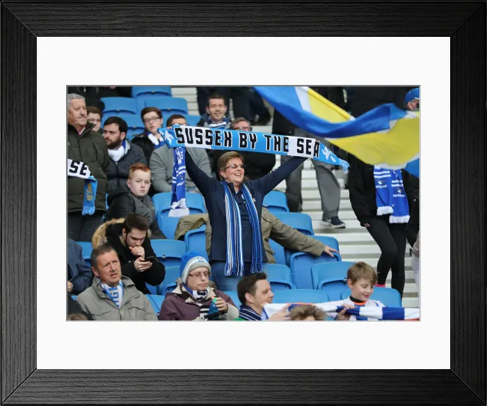 Framed Print : Premier League Showdown: Brighton & Hove Albion vs. Huddersfield Town (02MAR19) - American Express Community Stadium