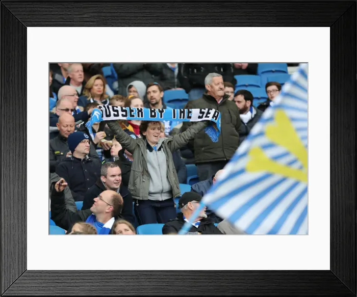 Framed Print : Brighton and Hove Albion vs. Huddersfield Town: Premier League Showdown at American Express Community Stadium (02MAR19) Framed Print : Brighton and Hove Albion vs. Huddersfield Town: Premier League Showdown at American Express Community Stadium (02MAR19)
