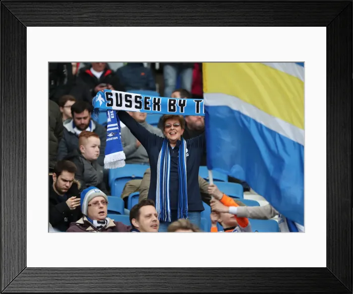 Framed Print : Brighton and Hove Albion vs. Huddersfield Town: Premier League Showdown at American Express Community Stadium (02MAR19) Framed Print : Brighton and Hove Albion vs. Huddersfield Town: Premier League Showdown at American Express Community Stadium (02MAR19)
