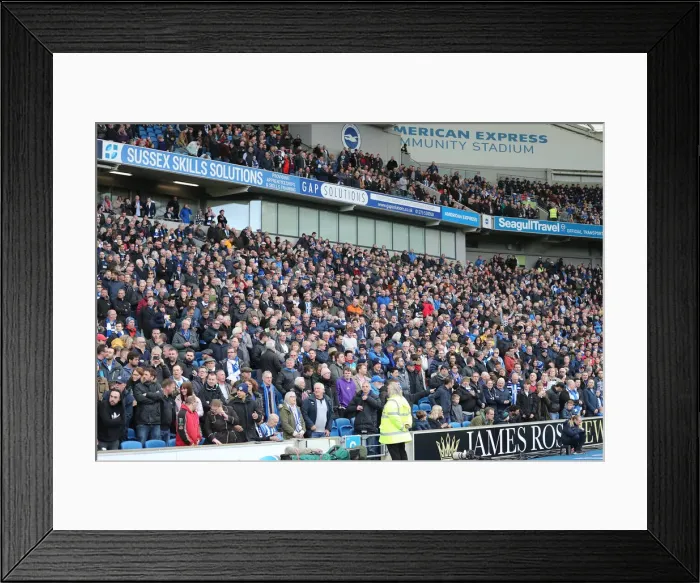 Framed Print : Brighton and Hove Albion vs. Huddersfield Town: Premier League Showdown at American Express Community Stadium (02MAR19) Framed Print : Brighton and Hove Albion vs. Huddersfield Town: Premier League Showdown at American Express Community Stadium (02MAR19)