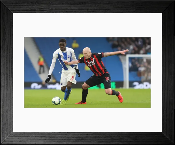 Framed Print : Brighton and Hove Albion vs. Huddersfield Town: Premier League Showdown at American Express Community Stadium (02MAR19)