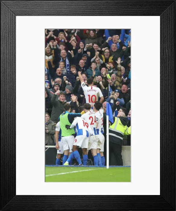 Framed Print : Brighton and Hove Albion vs. Huddersfield Town: Premier League Showdown at American Express Community Stadium (02MAR19) Framed Print : Brighton and Hove Albion vs. Huddersfield Town: Premier League Showdown at American Express Community Stadium (02MAR19)