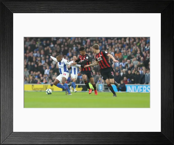 Framed Print : Brighton and Hove Albion vs. Huddersfield Town: Premier League Battle at American Express Community Stadium (02MAR19) Framed Print : Brighton and Hove Albion vs. Huddersfield Town: Premier League Battle at American Express Community Stadium (02MAR19)