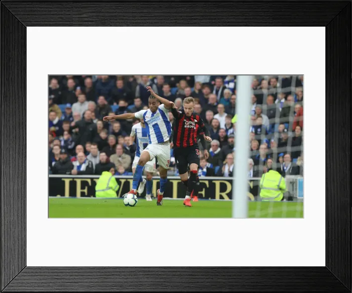 Framed Print : Brighton and Hove Albion vs. Huddersfield Town: Premier League Showdown at American Express Community Stadium (02MAR19) Framed Print : Brighton and Hove Albion vs. Huddersfield Town: Premier League Showdown at American Express Community Stadium (02MAR19)
