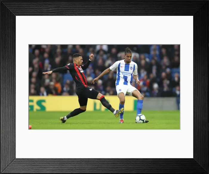 Framed Print : Brighton and Hove Albion vs. Huddersfield Town: Premier League Showdown at American Express Community Stadium (02MAR19) Framed Print : Brighton and Hove Albion vs. Huddersfield Town: Premier League Showdown at American Express Community Stadium (02MAR19)