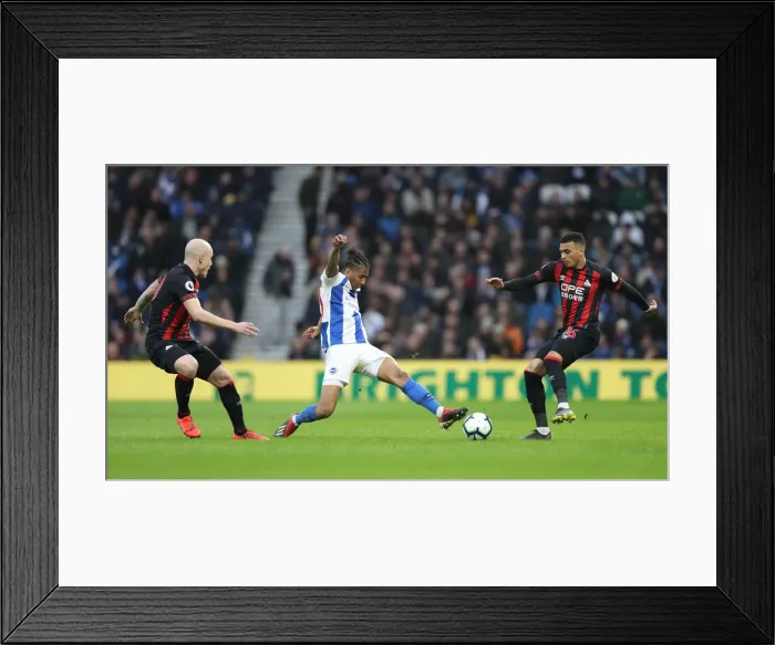 Framed Print : Brighton and Hove Albion vs. Huddersfield Town: Premier League Showdown at American Express Community Stadium (02MAR19) Framed Print : Brighton and Hove Albion vs. Huddersfield Town: Premier League Showdown at American Express Community Stadium (02MAR19)