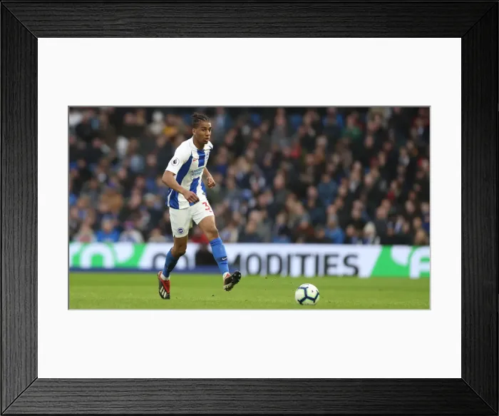 Framed Print : Brighton and Hove Albion vs. Huddersfield Town: Premier League Showdown at American Express Community Stadium (02MAR19) Framed Print : Brighton and Hove Albion vs. Huddersfield Town: Premier League Showdown at American Express Community Stadium (02MAR19)