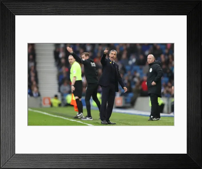 Framed Print : Brighton and Hove Albion vs. Huddersfield Town: Premier League Battle at American Express Community Stadium (02MAR19) Framed Print : Brighton and Hove Albion vs. Huddersfield Town: Premier League Battle at American Express Community Stadium (02MAR19)