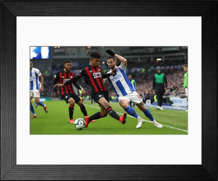 Framed Print : Brighton and Hove Albion vs. Huddersfield Town: Premier League Showdown at American Express Community Stadium (02MAR19) Framed Print : Brighton and Hove Albion vs. Huddersfield Town: Premier League Showdown at American Express Community Stadium (02MAR19)