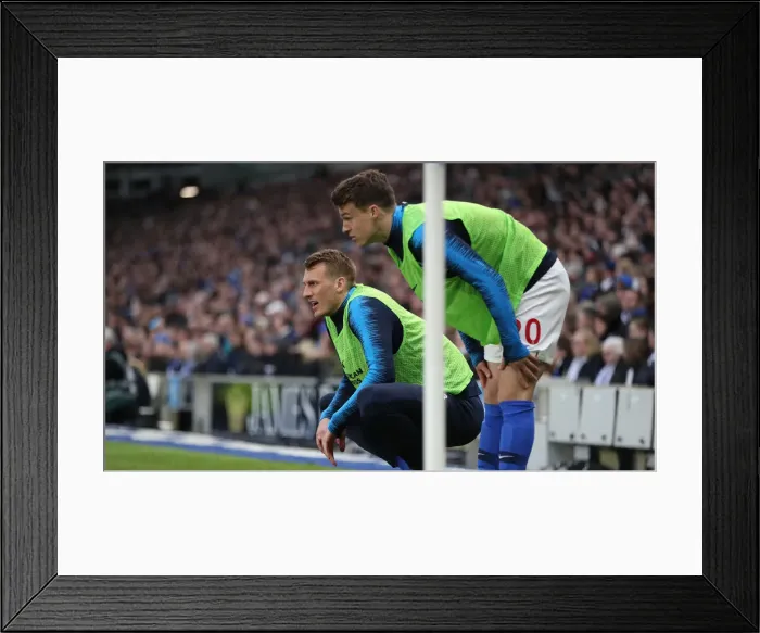 Framed Print : Brighton and Hove Albion vs. Huddersfield Town: Premier League Showdown at American Express Community Stadium (02MAR19) Framed Print : Brighton and Hove Albion vs. Huddersfield Town: Premier League Showdown at American Express Community Stadium (02MAR19)