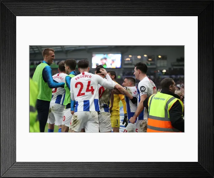 Framed Print : Brighton and Hove Albion vs. Huddersfield Town: Premier League Showdown at American Express Community Stadium (02MAR19) Framed Print : Brighton and Hove Albion vs. Huddersfield Town: Premier League Showdown at American Express Community Stadium (02MAR19)