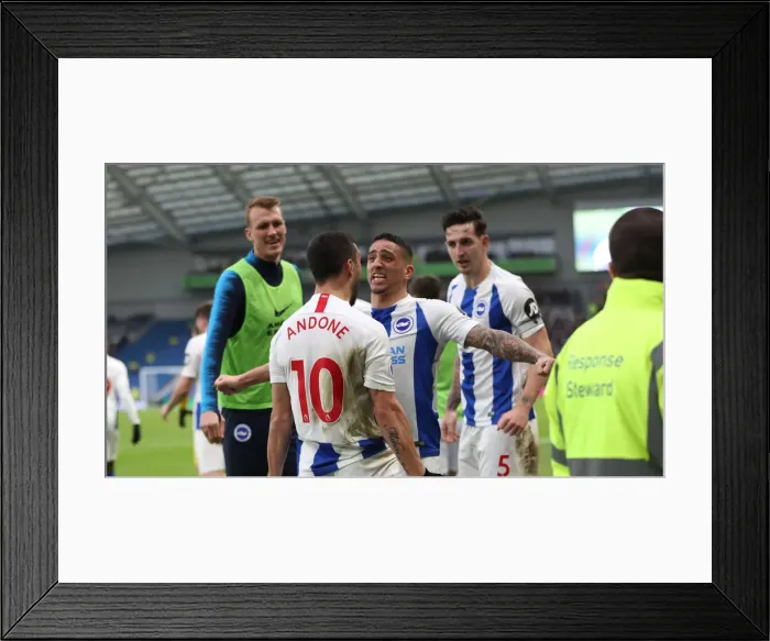 Framed Print : Brighton and Hove Albion vs. Huddersfield Town: Premier League Showdown at American Express Community Stadium (02MAR19) Framed Print : Brighton and Hove Albion vs. Huddersfield Town: Premier League Showdown at American Express Community Stadium (02MAR19)