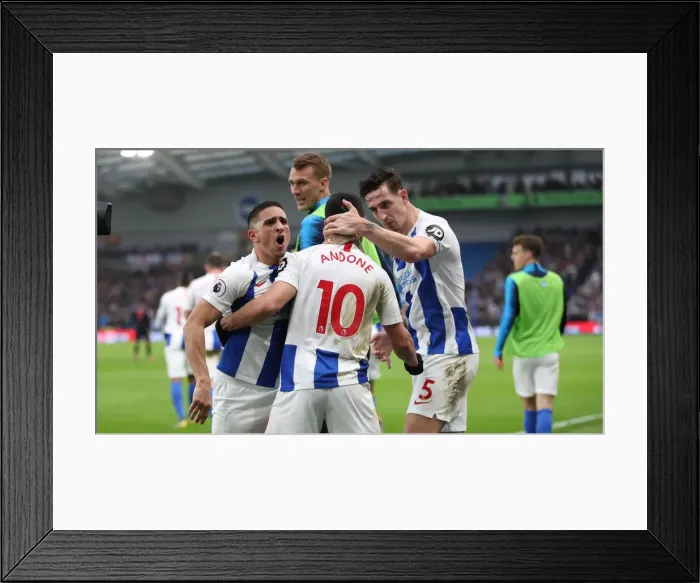 Framed Print : Brighton and Hove Albion vs. Huddersfield Town: Premier League Showdown at American Express Community Stadium (02MAR19) Framed Print : Brighton and Hove Albion vs. Huddersfield Town: Premier League Showdown at American Express Community Stadium (02MAR19)