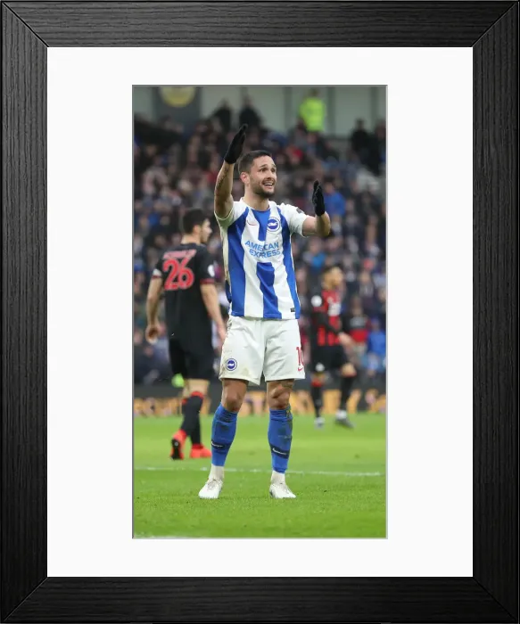 Framed Print : Brighton and Hove Albion vs. Huddersfield Town: Premier League Showdown at American Express Community Stadium (02MAR19) Framed Print : Brighton and Hove Albion vs. Huddersfield Town: Premier League Showdown at American Express Community Stadium (02MAR19)