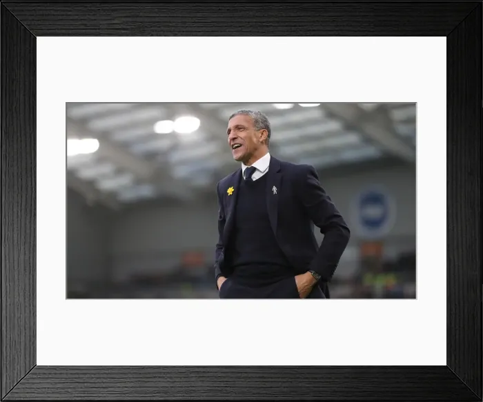 Framed Print : Brighton and Hove Albion vs. Huddersfield Town: Premier League Battle at American Express Community Stadium (02MAR19) Framed Print : Brighton and Hove Albion vs. Huddersfield Town: Premier League Battle at American Express Community Stadium (02MAR19)