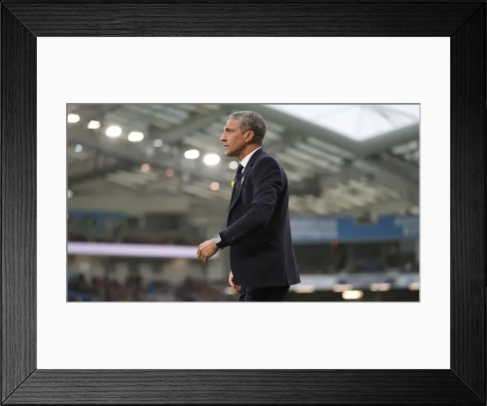 Framed Print : Brighton and Hove Albion vs. Huddersfield Town: Premier League Showdown at American Express Community Stadium (02MAR19) Framed Print : Brighton and Hove Albion vs. Huddersfield Town: Premier League Showdown at American Express Community Stadium (02MAR19)