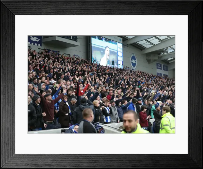 Framed Print : Brighton and Hove Albion vs. Huddersfield Town: Premier League Showdown at American Express Community Stadium (02MAR19) Framed Print : Brighton and Hove Albion vs. Huddersfield Town: Premier League Showdown at American Express Community Stadium (02MAR19)