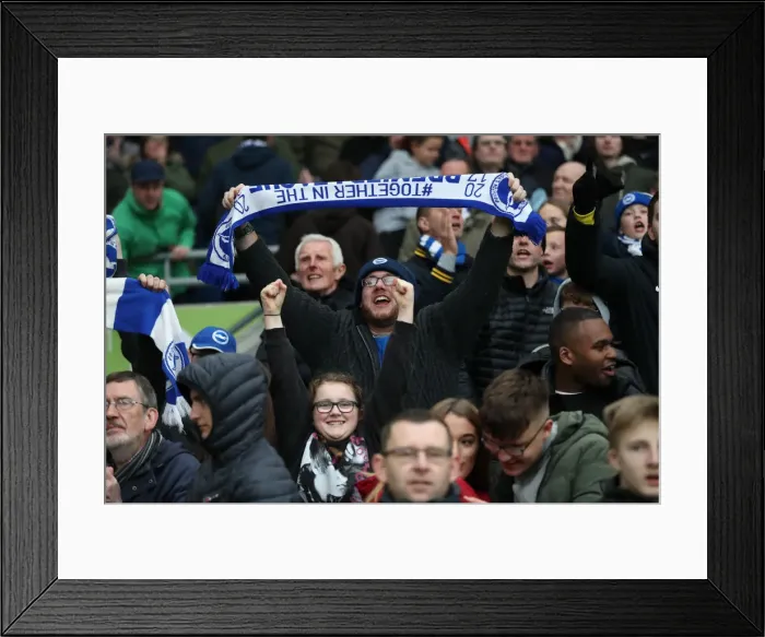 Framed Print : Brighton and Hove Albion vs. Huddersfield Town: Premier League Showdown at American Express Community Stadium (02MAR19) Framed Print : Brighton and Hove Albion vs. Huddersfield Town: Premier League Showdown at American Express Community Stadium (02MAR19)