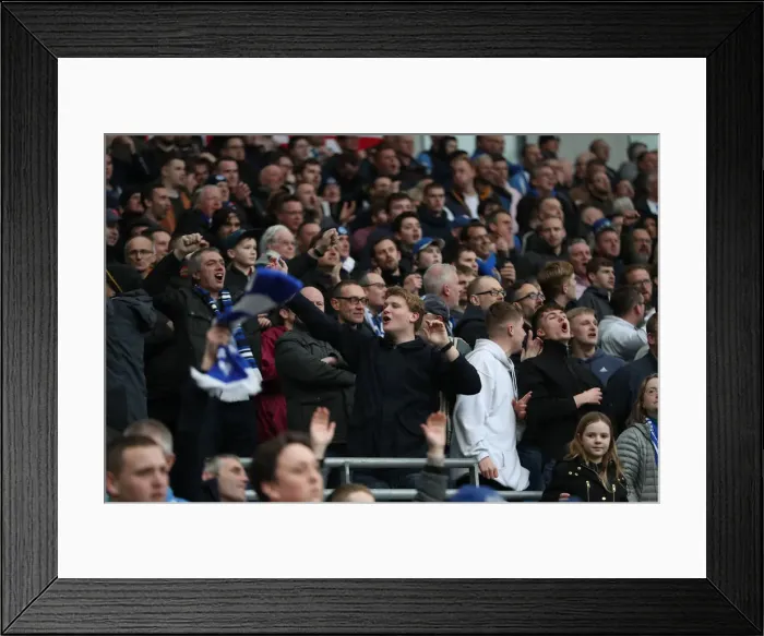 Framed Print : Brighton and Hove Albion vs. Huddersfield Town: Premier League Showdown at American Express Community Stadium (02MAR19) Framed Print : Brighton and Hove Albion vs. Huddersfield Town: Premier League Showdown at American Express Community Stadium (02MAR19)