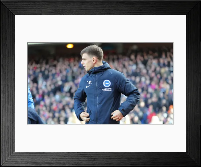 Framed Print : Premier League Showdown: Crystal Palace vs. Brighton and Hove Albion at Selhurst Park (9th March 2019) Framed Print : Premier League Showdown: Crystal Palace vs. Brighton and Hove Albion at Selhurst Park (9th March 2019)