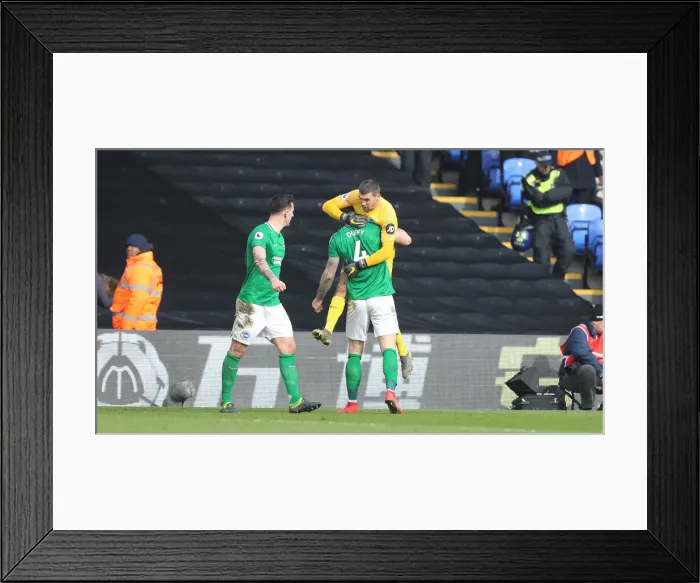 Framed Print : Premier League Showdown: Crystal Palace vs. Brighton and Hove Albion at Selhurst Park (9th March 2019) Framed Print : Premier League Showdown: Crystal Palace vs. Brighton and Hove Albion at Selhurst Park (9th March 2019)