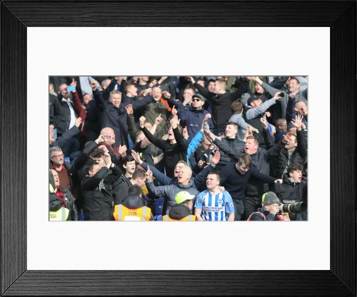 Framed Print : Premier League Showdown: Crystal Palace vs. Brighton and Hove Albion at Selhurst Park (9th March 2019) Framed Print : Premier League Showdown: Crystal Palace vs. Brighton and Hove Albion at Selhurst Park (9th March 2019)