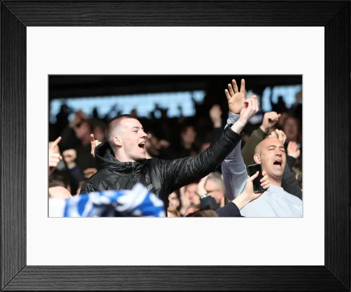 Framed Print : Premier League Showdown: Crystal Palace vs. Brighton and Hove Albion at Selhurst Park (9th March 2019) Framed Print : Premier League Showdown: Crystal Palace vs. Brighton and Hove Albion at Selhurst Park (9th March 2019)