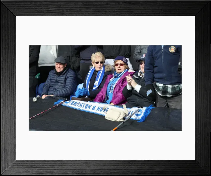 Framed Print : Premier League Showdown: Crystal Palace vs. Brighton and Hove Albion at Selhurst Park (9th March 2019) Framed Print : Premier League Showdown: Crystal Palace vs. Brighton and Hove Albion at Selhurst Park (9th March 2019)