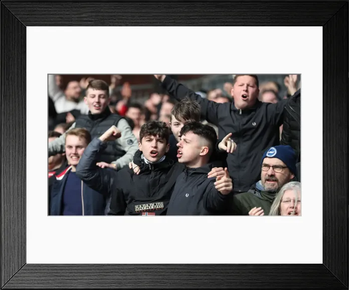 Framed Print : Premier League Showdown: Crystal Palace vs. Brighton and Hove Albion at Selhurst Park (9 March 2019) Framed Print : Premier League Showdown: Crystal Palace vs. Brighton and Hove Albion at Selhurst Park (9 March 2019)
