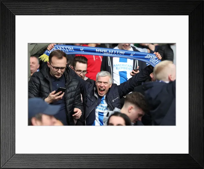 Framed Print : Premier League Showdown: Crystal Palace vs. Brighton and Hove Albion at Selhurst Park (9 March 2019) Framed Print : Premier League Showdown: Crystal Palace vs. Brighton and Hove Albion at Selhurst Park (9 March 2019)