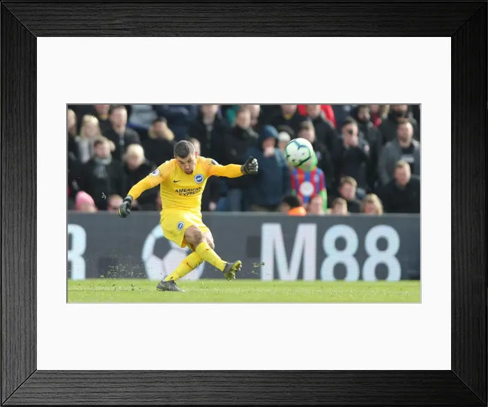 Framed Print : Premier League Showdown: Crystal Palace vs. Brighton and Hove Albion at Selhurst Park (9th March 2019) Framed Print : Premier League Showdown: Crystal Palace vs. Brighton and Hove Albion at Selhurst Park (9th March 2019)