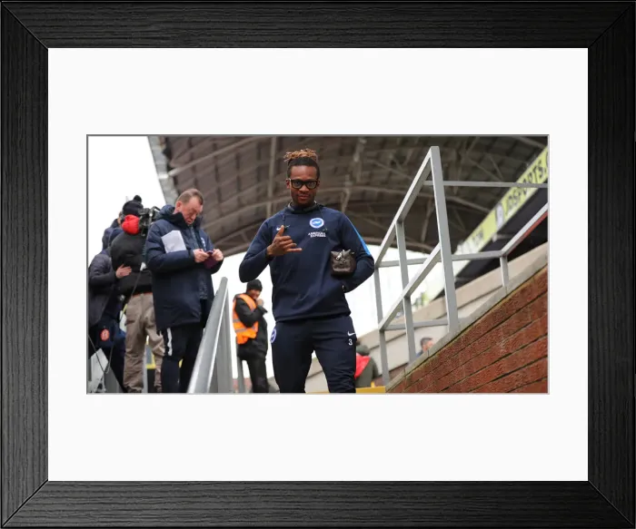 Framed Print : Premier League Showdown: Crystal Palace vs. Brighton and Hove Albion at Selhurst Park (9th March 2019) Framed Print : Premier League Showdown: Crystal Palace vs. Brighton and Hove Albion at Selhurst Park (9th March 2019)