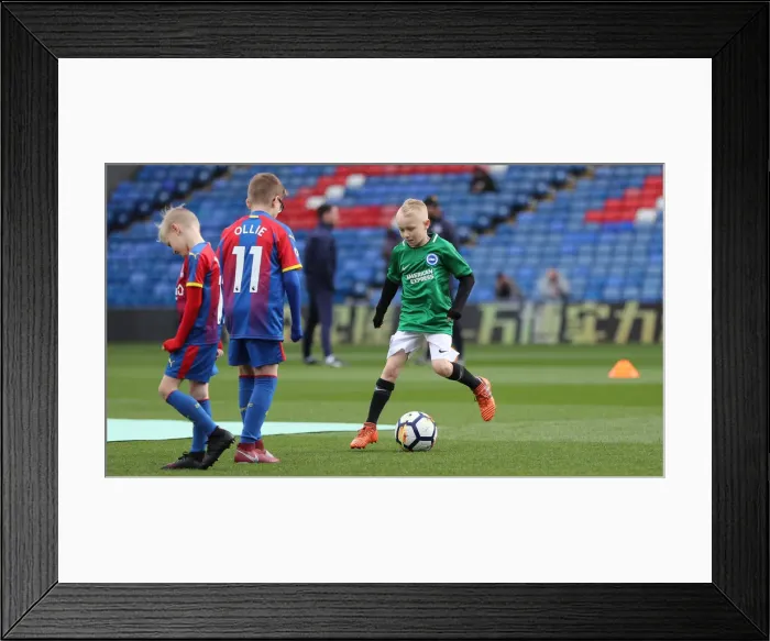 Framed Print : Premier League Showdown: Crystal Palace vs. Brighton and Hove Albion at Selhurst Park (9th March 2019) Framed Print : Premier League Showdown: Crystal Palace vs. Brighton and Hove Albion at Selhurst Park (9th March 2019)