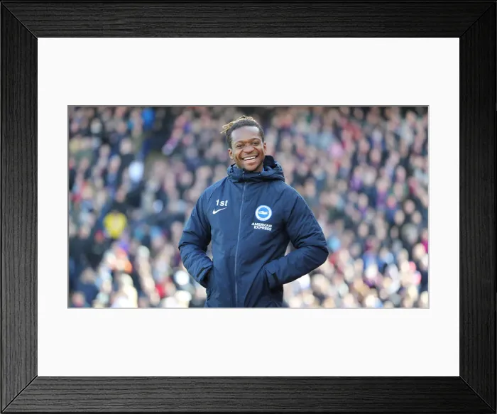 Framed Print : Premier League Showdown: Crystal Palace vs. Brighton and Hove Albion at Selhurst Park (9th March 2019) Framed Print : Premier League Showdown: Crystal Palace vs. Brighton and Hove Albion at Selhurst Park (9th March 2019)