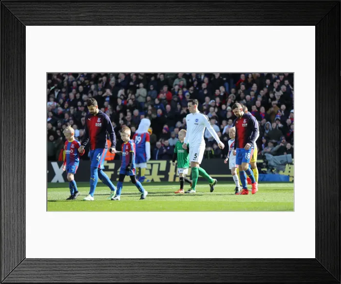 Framed Print : Premier League Showdown: Crystal Palace vs. Brighton and Hove Albion at Selhurst Park (9th March 2019) Framed Print : Premier League Showdown: Crystal Palace vs. Brighton and Hove Albion at Selhurst Park (9th March 2019)