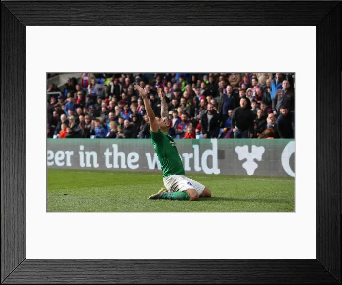 Framed Print : Premier League Showdown: Crystal Palace vs. Brighton and Hove Albion at Selhurst Park (9th March 2019) Framed Print : Premier League Showdown: Crystal Palace vs. Brighton and Hove Albion at Selhurst Park (9th March 2019)