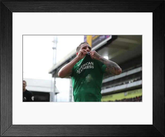 Framed Print : Premier League Showdown: Crystal Palace vs. Brighton and Hove Albion at Selhurst Park (9th March 2019) Framed Print : Premier League Showdown: Crystal Palace vs. Brighton and Hove Albion at Selhurst Park (9th March 2019)