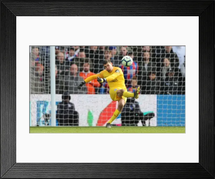 Framed Print : Premier League Showdown: Crystal Palace vs. Brighton and Hove Albion at Selhurst Park (9th March 2019) Framed Print : Premier League Showdown: Crystal Palace vs. Brighton and Hove Albion at Selhurst Park (9th March 2019)