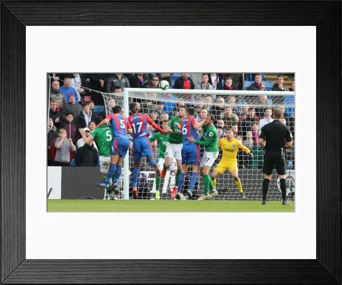 Framed Print : Premier League Showdown: Crystal Palace vs. Brighton and Hove Albion at Selhurst Park (9th March 2019)