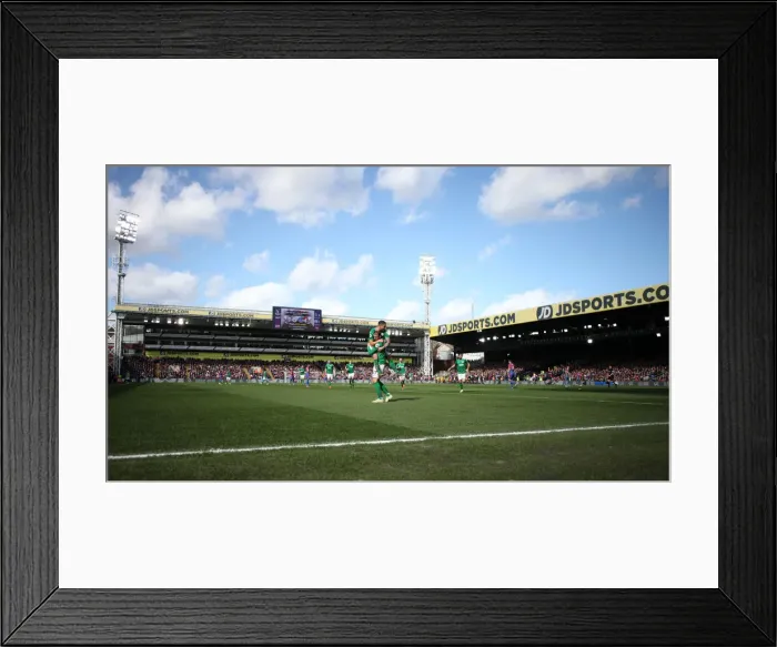 Framed Print : Premier League Showdown: Crystal Palace vs. Brighton and Hove Albion at Selhurst Park (9th March 2019)