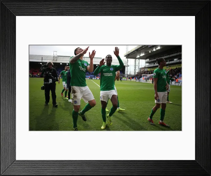 Framed Print : Premier League Showdown: Crystal Palace vs. Brighton and Hove Albion at Selhurst Park (9th March 2019) Framed Print : Premier League Showdown: Crystal Palace vs. Brighton and Hove Albion at Selhurst Park (9th March 2019)