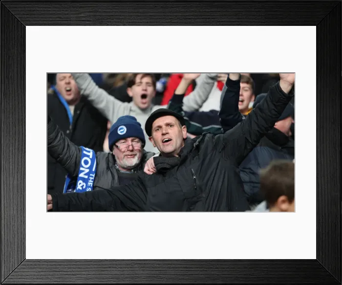 Framed Print : Premier League Showdown: Crystal Palace vs. Brighton and Hove Albion at Selhurst Park (9th March 2019) Framed Print : Premier League Showdown: Crystal Palace vs. Brighton and Hove Albion at Selhurst Park (9th March 2019)