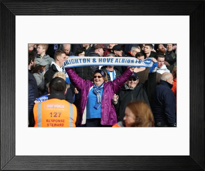 Framed Print : Premier League Showdown: Crystal Palace vs. Brighton and Hove Albion at Selhurst Park (9th March 2019) Framed Print : Premier League Showdown: Crystal Palace vs. Brighton and Hove Albion at Selhurst Park (9th March 2019)